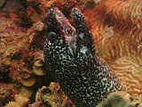 Curacao 04-12 178